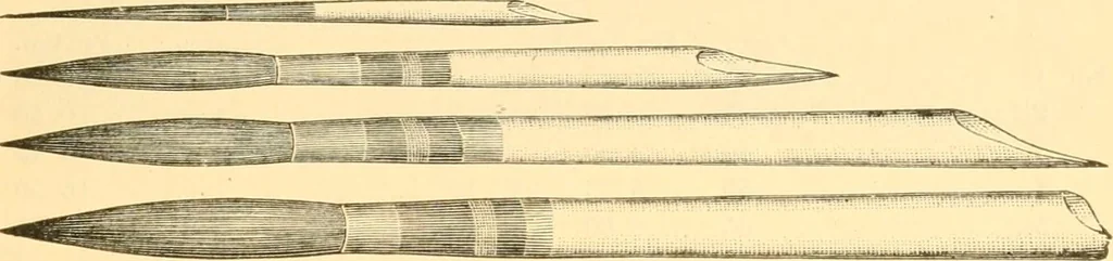 An illustration from Illustrated price list of artists' materials : comprising a complete list of painting and drawing materials for artists... materials for gilders, sign and coach-painters; etcher's and engravers' tools; also, materials for making wax and paper flowers., 1888, leaf 82