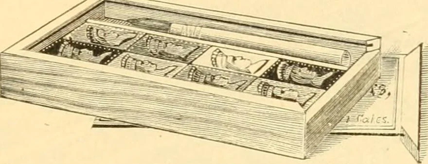 An illustration from Illustrated price list of artists' materials : comprising a complete list of painting and drawing materials for artists... materials for gilders, sign and coach-painters; etcher's and engravers' tools; also, materials for making wax and paper flowers., 1888, leaf 98