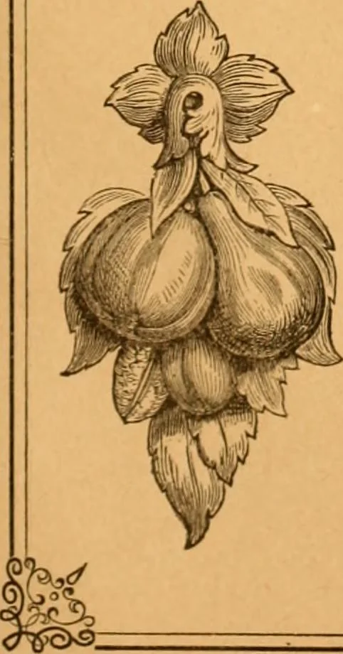 An illustration from Illustrated price list of patented artificial wood ornaments for furniture manufacturers, architects, builders, interior decorators, stair builders, car builders, organ manufacturers, steamboat builders, etc, etc., 1879, leaf 10