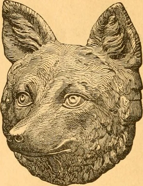 An illustration from Illustrated price list of patented artificial wood ornaments for furniture manufacturers, architects, builders, interior decorators, stair builders, car builders, organ manufacturers, steamboat builders, etc, etc., 1879, leaf 13