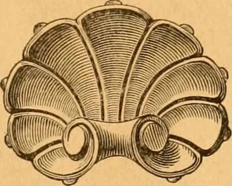 An illustration from Illustrated price list of patented artificial wood ornaments for furniture manufacturers, architects, builders, interior decorators, stair builders, car builders, organ manufacturers, steamboat builders, etc, etc., 1879, leaf 14