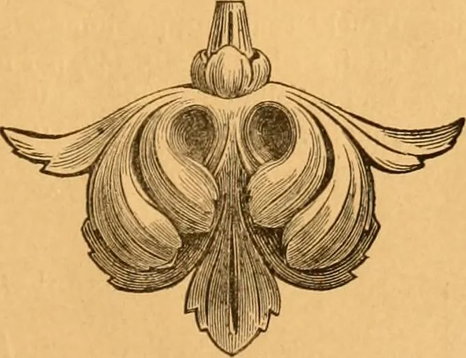 An illustration from Illustrated price list of patented artificial wood ornaments for furniture manufacturers, architects, builders, interior decorators, stair builders, car builders, organ manufacturers, steamboat builders, etc, etc., 1879, leaf 14