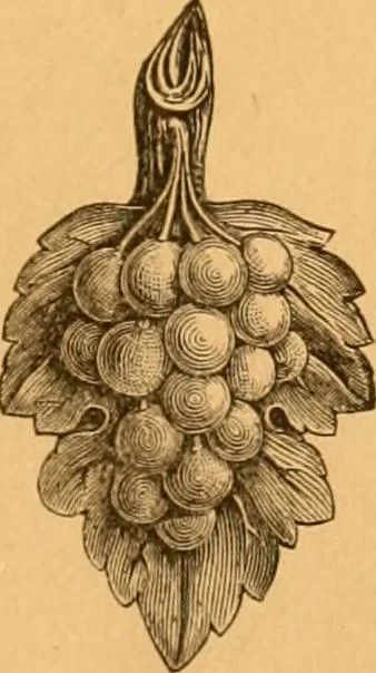 An illustration from Illustrated price list of patented artificial wood ornaments for furniture manufacturers, architects, builders, interior decorators, stair builders, car builders, organ manufacturers, steamboat builders, etc, etc., 1879, leaf 28