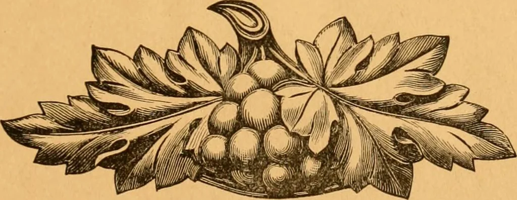 An illustration from Illustrated price list of patented artificial wood ornaments for furniture manufacturers, architects, builders, interior decorators, stair builders, car builders, organ manufacturers, steamboat builders, etc, etc., 1879, leaf 4
