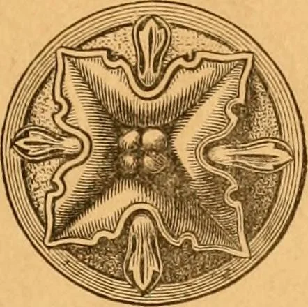 An illustration from Illustrated price list of patented artificial wood ornaments for furniture manufacturers, architects, builders, interior decorators, stair builders, car builders, organ manufacturers, steamboat builders, etc, etc., 1879, leaf 6