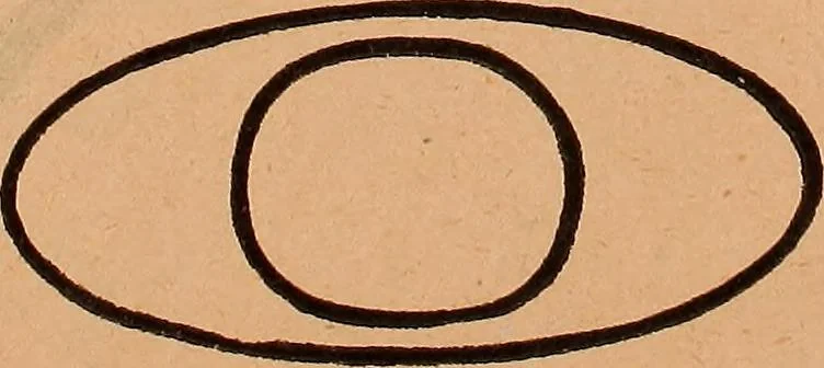 An illustration from Illustrated sample book & price list of Palm's patent transfer letters, ornaments & trade designs for signs, wagons, cars, machines, etc., 1901, leaf 36