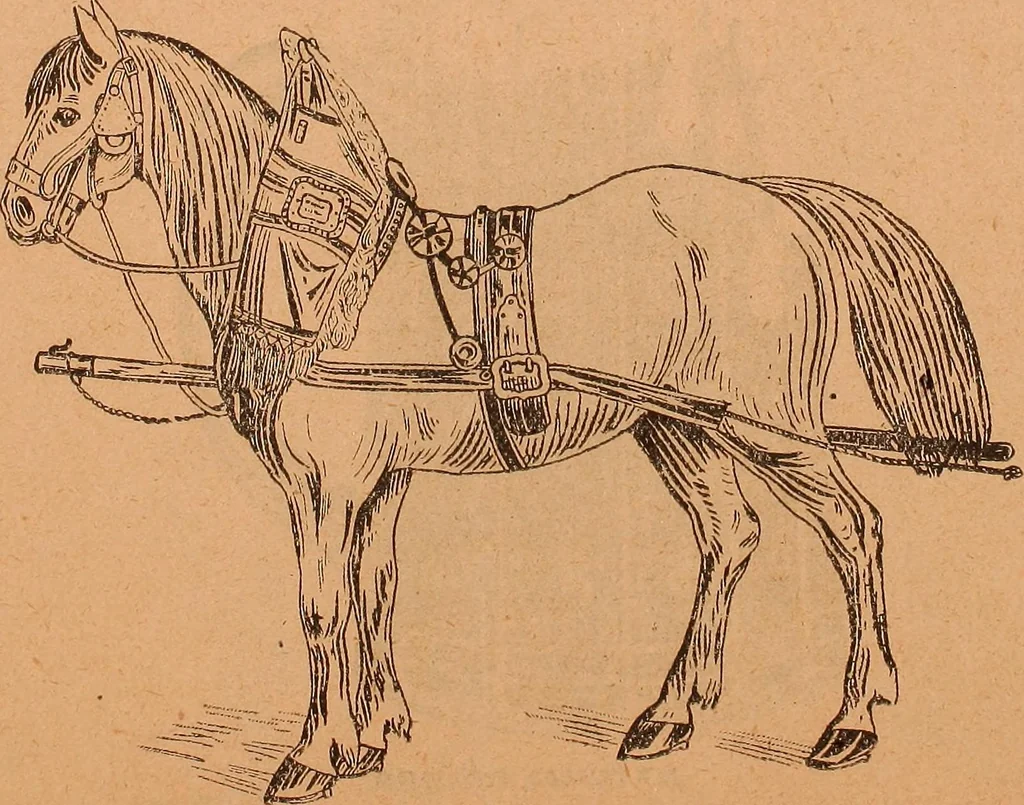 An illustration from Illustrated sample book & price list of Palm's patent transfer letters, ornaments & trade designs for signs, wagons, cars, machines, etc., 1901, leaf 44