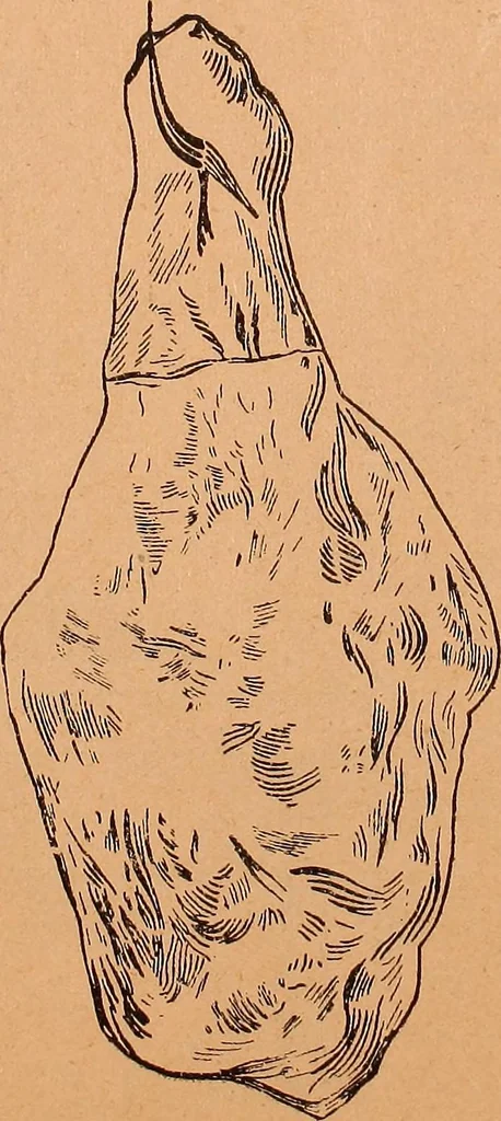 An illustration from Illustrated sample book & price list of Palm's patent transfer letters, ornaments & trade designs for signs, wagons, cars, machines, etc., 1901, leaf 46