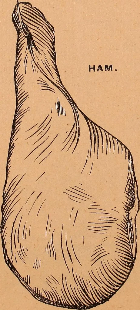 An illustration from Illustrated sample book & price list of Palm's patent transfer letters, ornaments & trade designs for signs, wagons, cars, machines, etc., 1901, leaf 49