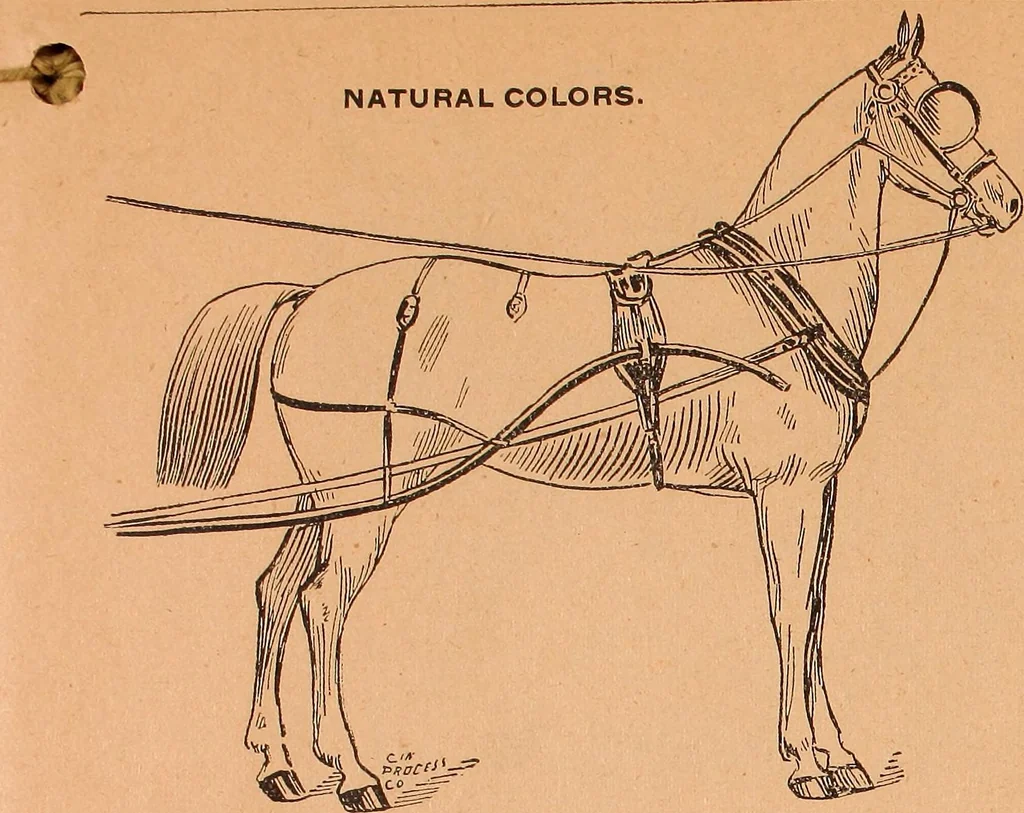 An illustration from Illustrated sample book & price list of Palm's patent transfer letters, ornaments & trade designs for signs, wagons, cars, machines, etc., 1901, leaf 50