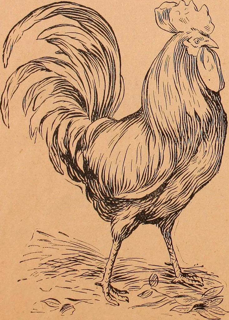 An illustration from Illustrated sample book & price list of Palm's patent transfer letters, ornaments & trade designs for signs, wagons, cars, machines, etc., 1901, leaf 50
