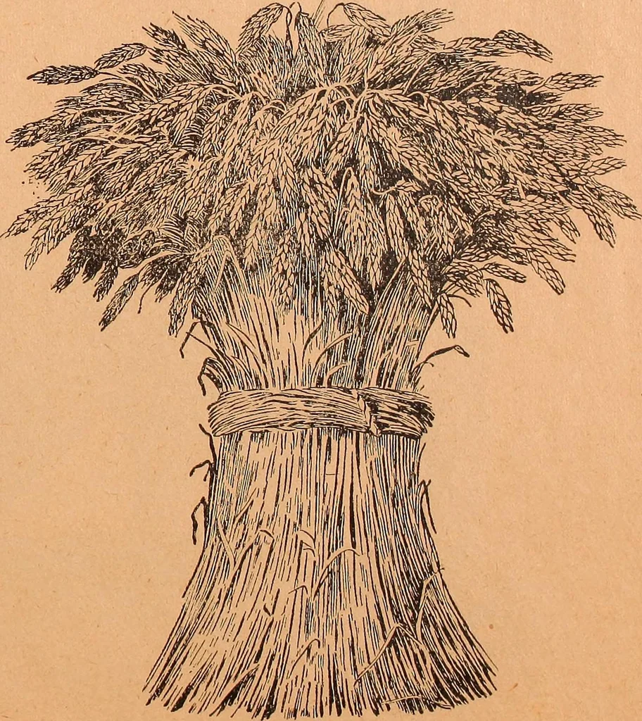 An illustration from Illustrated sample book & price list of Palm's patent transfer letters, ornaments & trade designs for signs, wagons, cars, machines, etc., 1901, leaf 50