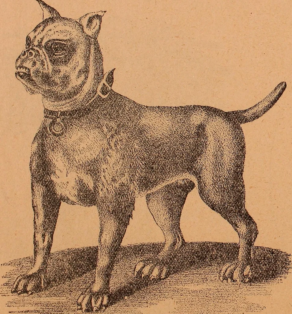 An illustration from Illustrated sample book & price list of Palm's patent transfer letters, ornaments & trade designs for signs, wagons, cars, machines, etc., 1901, leaf 51