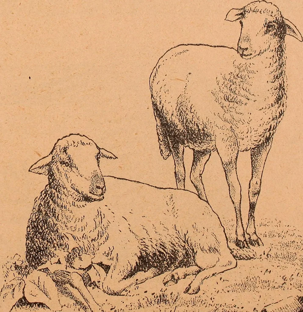 An illustration from Illustrated sample book & price list of Palm's patent transfer letters, ornaments & trade designs for signs, wagons, cars, machines, etc., 1901, leaf 52