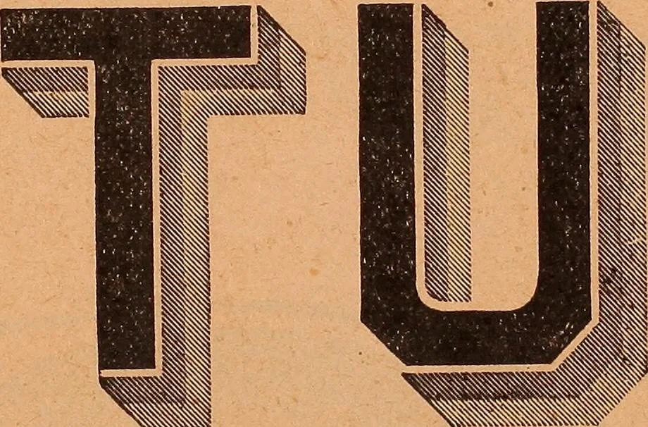 An illustration from Illustrated sample book & price list of Palm's patent transfer letters, ornaments & trade designs for signs, wagons, cars, machines, etc., 1901, leaf 8