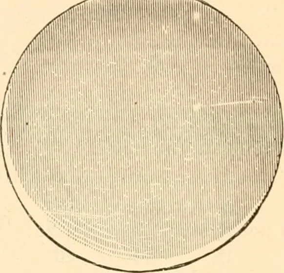 An illustration from Illustrated trade price list of artists' materials., 1886, leaf 175