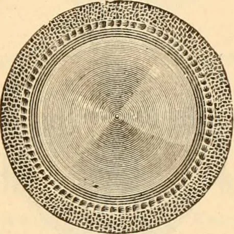 An illustration from Illustrated trade price list of artists' materials., 1886, leaf 180