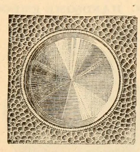 An illustration from Illustrated trade price list of artists' materials., 1886, leaf 180