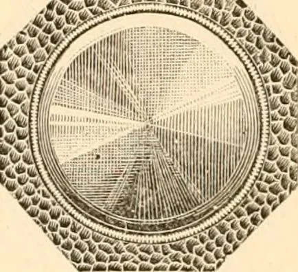An illustration from Illustrated trade price list of artists' materials., 1886, leaf 181