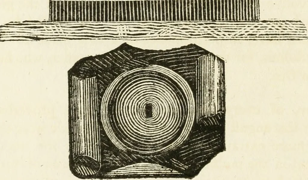 An illustration from An illustration of the Roman antiquities discovered at Bath, 1797, leaf 73