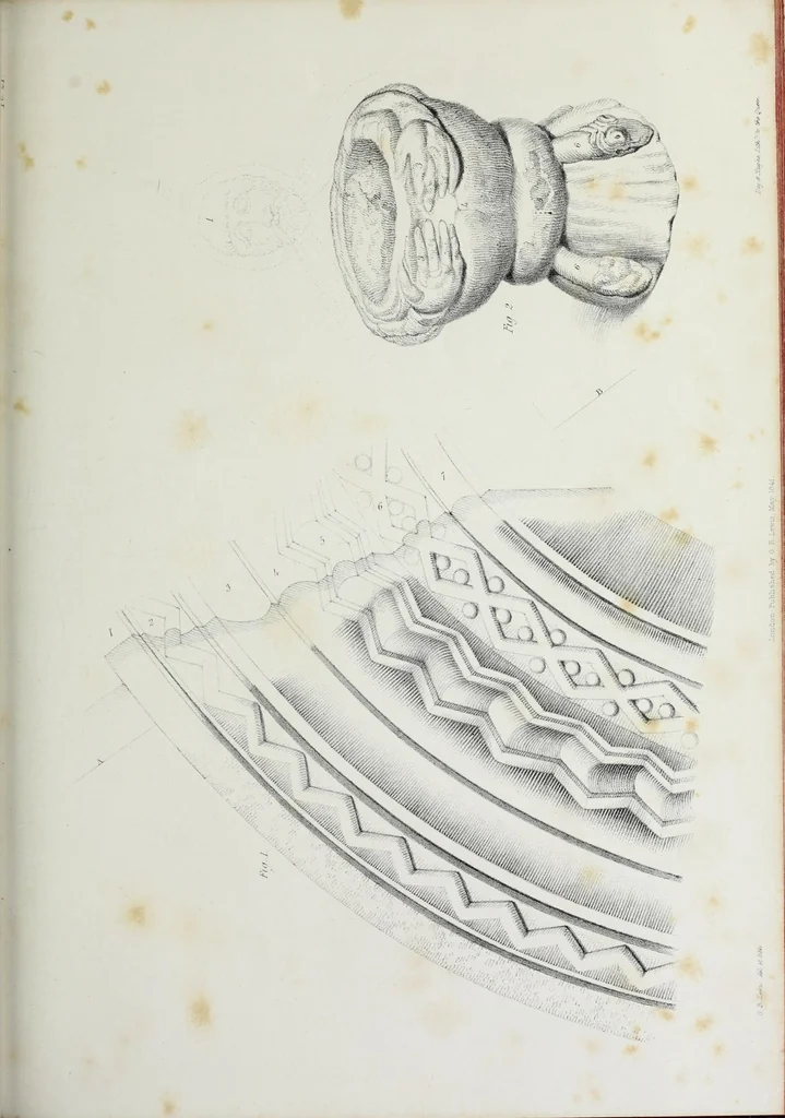 An illustration from Illustrations of Kilpeck church, Herefordshire : in a series of drawings made on the spot, with an essay On ecclesiastical design, and a descriptive interpretation, 1842, leaf 113