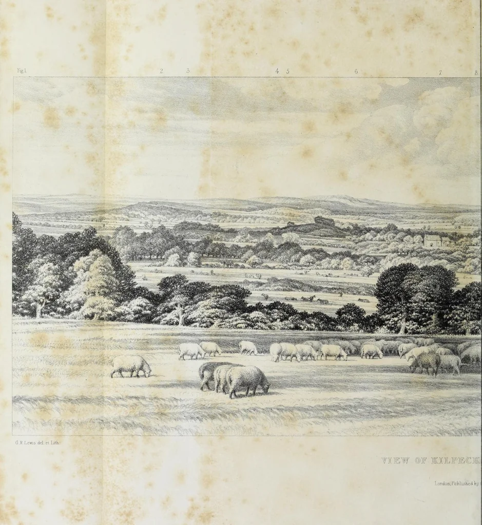 An illustration from Illustrations of Kilpeck church, Herefordshire : in a series of drawings made on the spot, with an essay On ecclesiastical design, and a descriptive interpretation, 1842, leaf 128