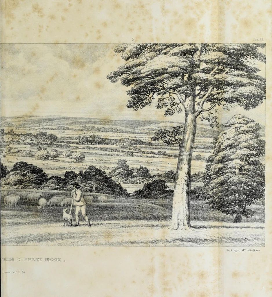 An illustration from Illustrations of Kilpeck church, Herefordshire : in a series of drawings made on the spot, with an essay On ecclesiastical design, and a descriptive interpretation, 1842, leaf 129