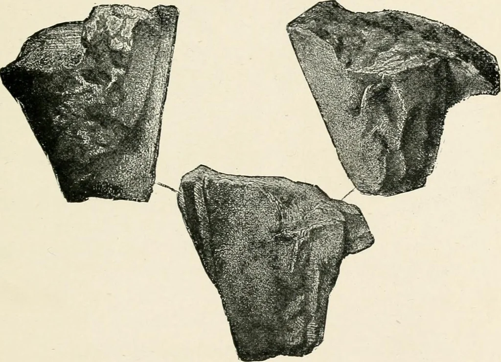 An illustration from Illustrations of school classics, arranged and described, 1903, leaf 404