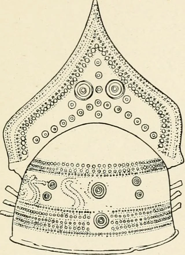 An illustration from Illustrations of school classics, arranged and described, 1903, leaf 540