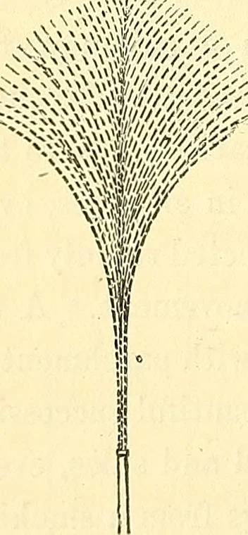 An illustration from Illustrations of the theory and practice of ventilation : with remarks on warming, exclusive lighting, and the communication of sound, 1844, leaf 127