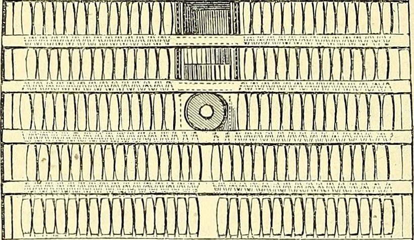 An illustration from Illustrations of the theory and practice of ventilation : with remarks on warming, exclusive lighting, and the communication of sound, 1844, leaf 379