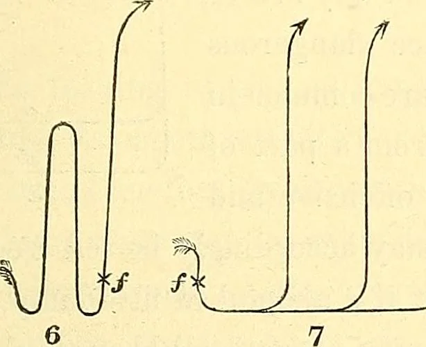An illustration from Illustrations of the theory and practice of ventilation : with remarks on warming, exclusive lighting, and the communication of sound, 1844, leaf 470