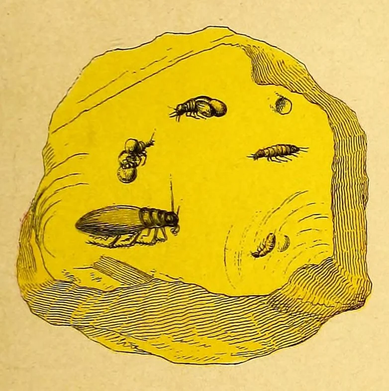 An illustration from Illustrierte Mineralogie, 1888, leaf 85