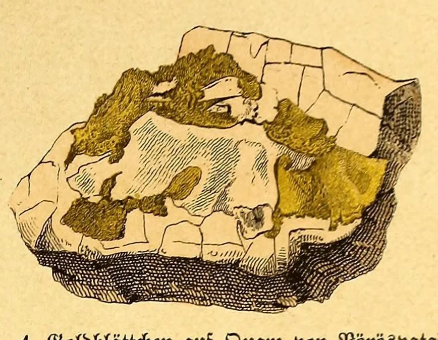 An illustration from Illustrierte Mineralogie, 1888, leaf 91