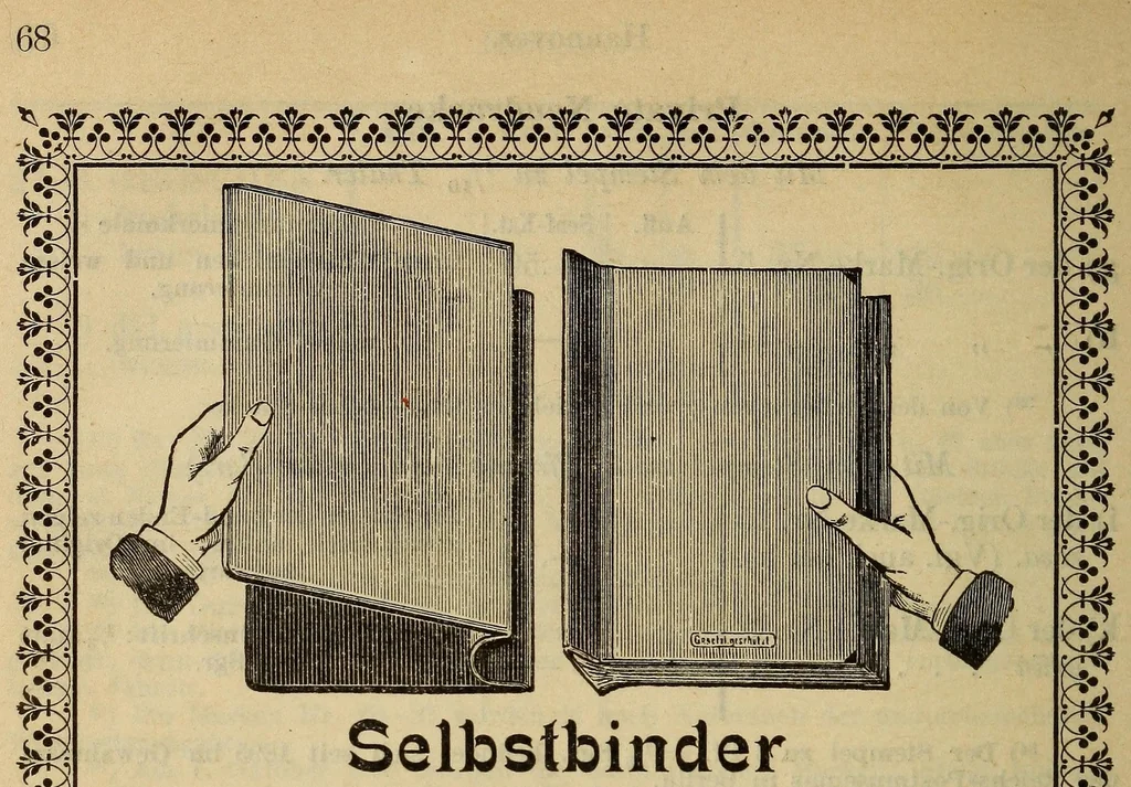 An illustration from Illustrierter ausführlicher katalog über deutsche postfreimarken, 1896, leaf 86
