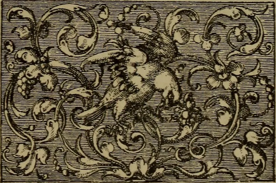 An illustration from Illustrirter Katalog der Ornamentstichsammlung des K. K. Österreich. Museums für Kunst und Industrie; Erwerbungen seit dem Jahre 1871, 1889, leaf 328