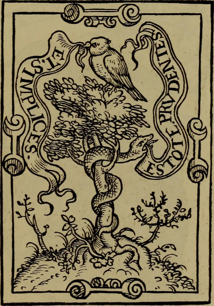An illustration from Illustrirter Katalog der Ornamentstichsammlung des K. K. Österreich. Museums für Kunst und Industrie; Erwerbungen seit dem Jahre 1871, 1889, leaf 522