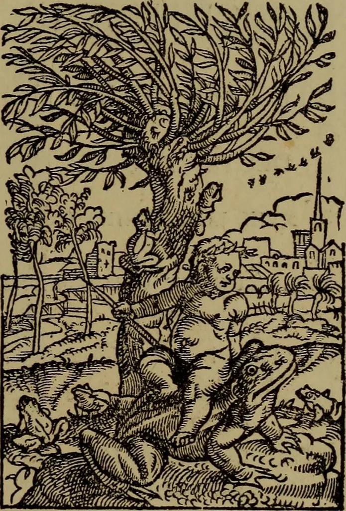 An illustration from Illustrirter Katalog der Ornamentstichsammlung des K. K. Österreich. Museums für Kunst und Industrie; Erwerbungen seit dem Jahre 1871, 1889, leaf 524