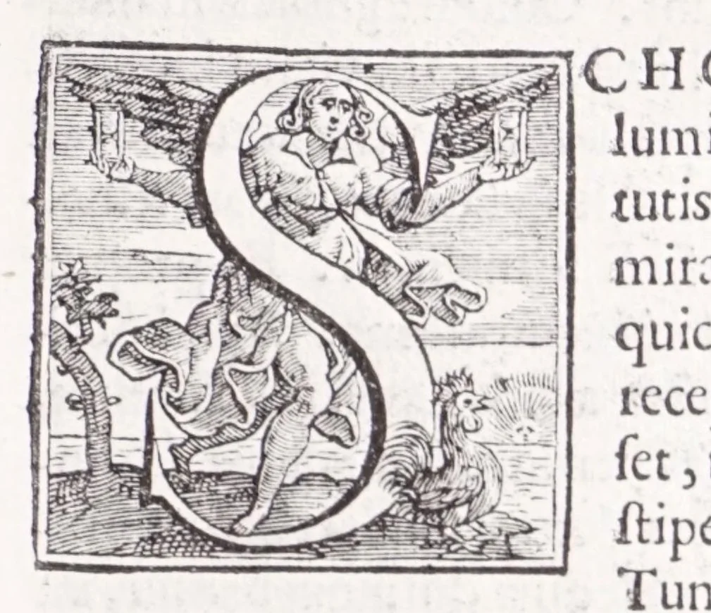 An illustration from Illustrium anachoretarum elogia, siue, Religiosi viri musaeum, 1625, leaf 103