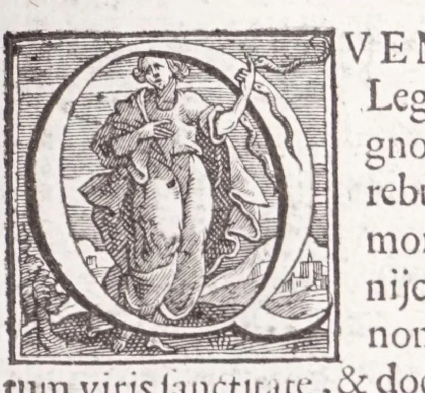 An illustration from Illustrium anachoretarum elogia, siue, Religiosi viri musaeum, 1625, leaf 107