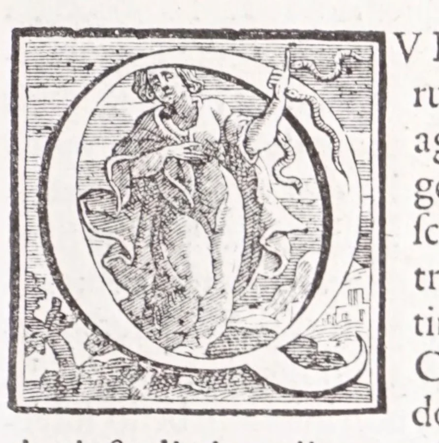 An illustration from Illustrium anachoretarum elogia, siue, Religiosi viri musaeum, 1625, leaf 131