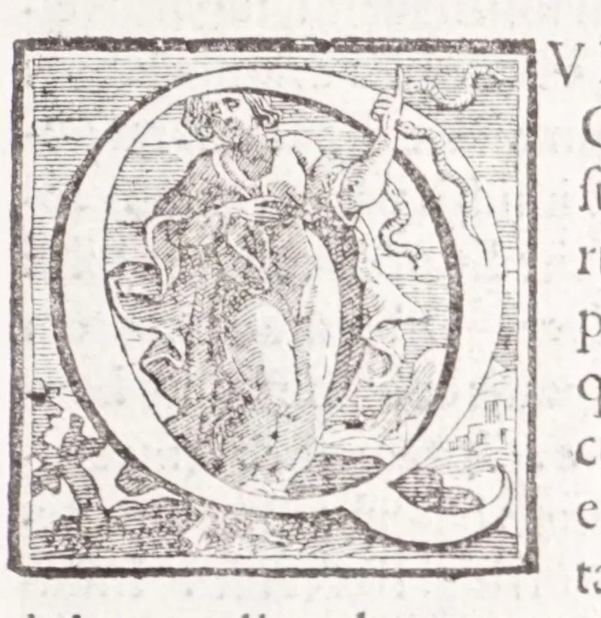 An illustration from Illustrium anachoretarum elogia, siue, Religiosi viri musaeum, 1625, leaf 37
