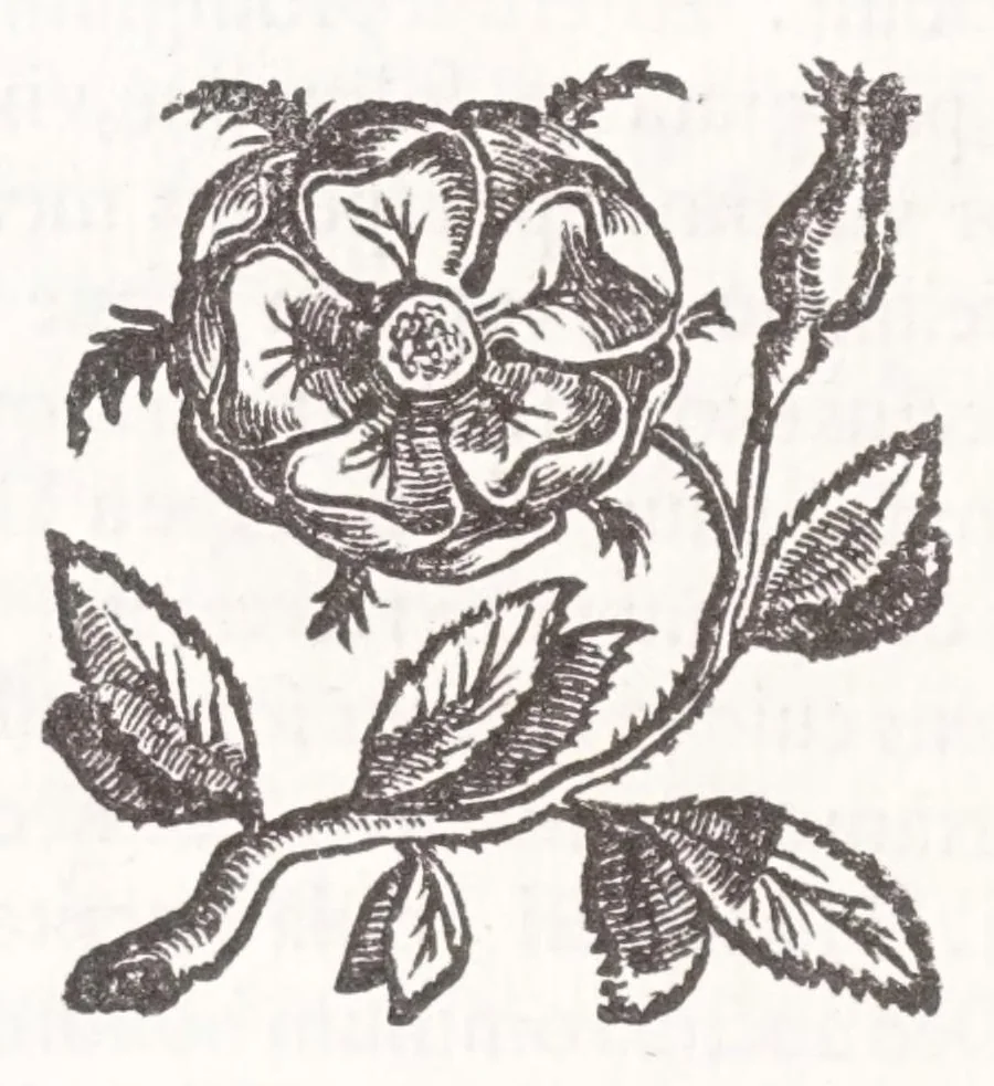 An illustration from Illustrium anachoretarum elogia, siue, Religiosi viri musaeum, 1625, leaf 78