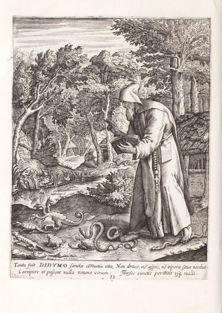 An illustration from Illustrium anachoretarum elogia, siue, Religiosi viri musaeum, 1625, leaf 90