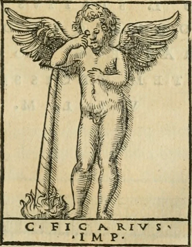 An illustration from Illvstratione de gli epitaffi et medaglie antiche, 1558, leaf 116
