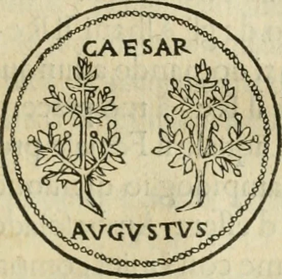 An illustration from Illvstratione de gli epitaffi et medaglie antiche, 1558, leaf 136