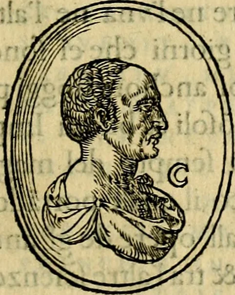 An illustration from Illvstratione de gli epitaffi et medaglie antiche, 1558, leaf 90