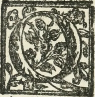 An illustration from Le imprese illvstri : con espositioni et discorsi, 1572, leaf 151