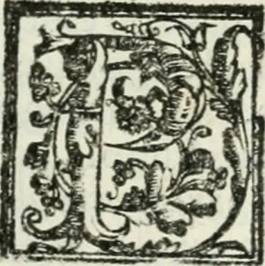 An illustration from Le imprese illvstri : con espositioni et discorsi, 1572, leaf 156