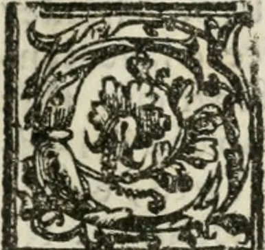 An illustration from Le imprese illvstri : con espositioni et discorsi, 1572, leaf 216